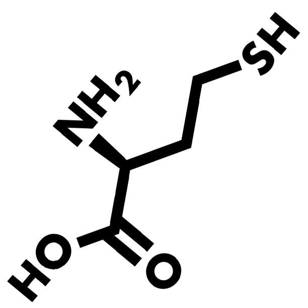 HeartBeats 6 Homocysteine HeartBeats