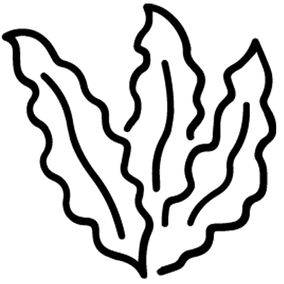 HeartBeats 21 L Arginine HCl HeartBeats