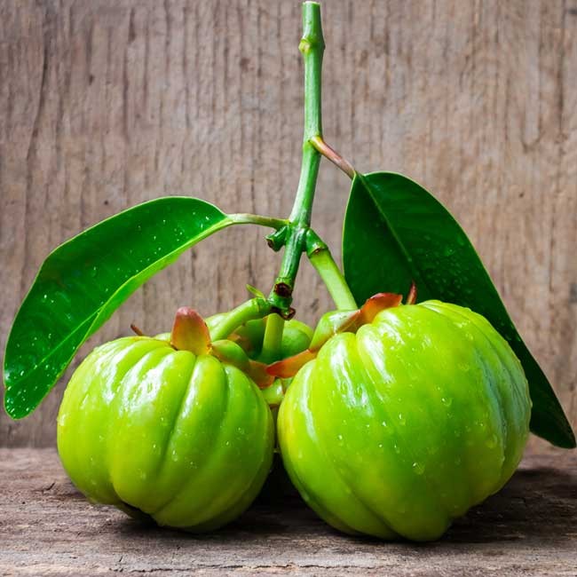 Garcinia cambogia is a tropical fruit that is native to Southeast Asia. It is also known as Malabar tamarind. The rind of the fruit contains hydroxycitric acid (HCA), which is a compound that has been shown to have some potential weight loss benefits.