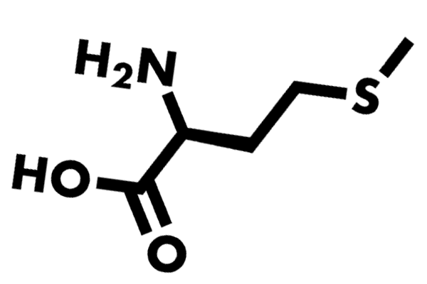 Methionine is a sulfur-containing amino acid that improves the tone and elasticity of the skin, promotes healthy hair, and strengthens the nails. It helps your body to build creatine, a protein necessary for muscle growth and energy.